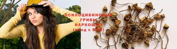 таблы Заводоуковск