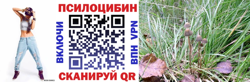 Купить  Иннополис  Галлюциногенные грибы Cubensis 